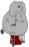elephantcrutches